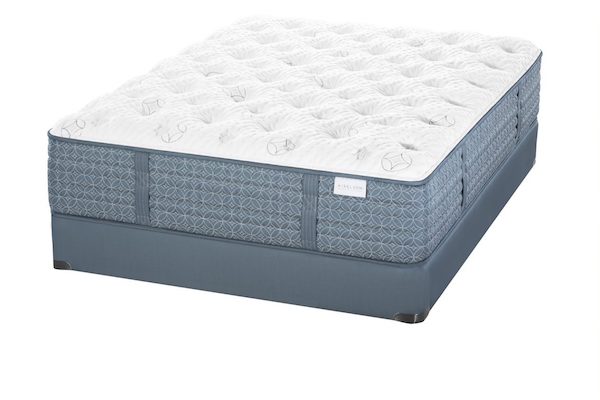 Streamline™ Luxury Firm by Aireloom - Queen
